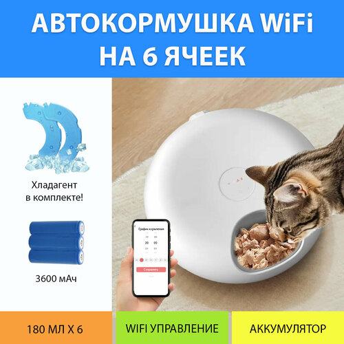 Автоматическая кормушка WiFi для влажного и сухого корма. Автокормушка секционная 6 ячеек на аккумуляторе, с хладагентом от MY PET`S GADGETS фото, описание