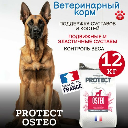 Сухой корм для собак Pro-Nutrition Flatazor Protect Osteo при болезнях суставов (12 кг) фото, описание