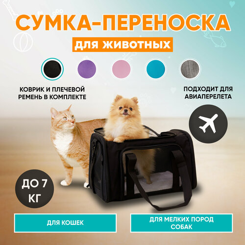 Сумка-переноска для кошек и мелких собак MR DOG фото, описание