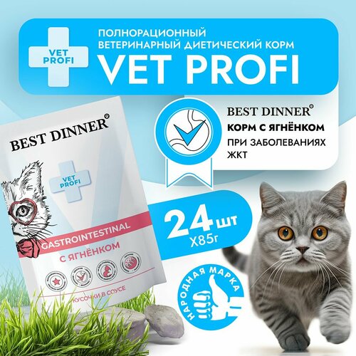 Влажный корм для кошек Best Dinner VET PROFI Gastro Intestinal кусочки в соусе Ягненок, 85 г х 24 шт для чувствительного пищеварения и пищевой непереносимости, пауч (Бест Диннер) фото, описание