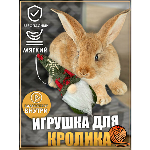 Игрушка для кролика, гномик, игрушки для грызунов, для животных фото, описание