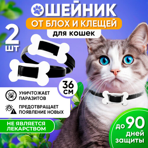 BioDoctor ошейник от блох и клещей BIO COMFORT для кошек для кошек, 36 см, черный 2 уп. фото, описание