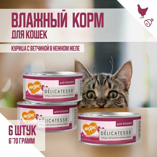 Влажный дополнительный корм Мнямс для кошек, Курица с ветчиной в нежном желе, 70г х 6шт фото, описание