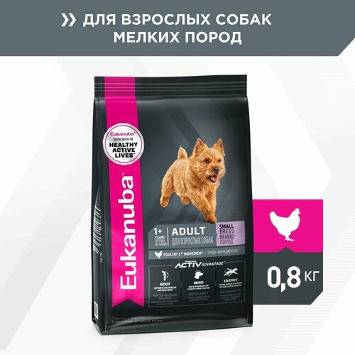 EUKANUBA ADULT SMALL BREED 800 гр сухой корм для взрослых собак мелких пород 5шт фото, описание