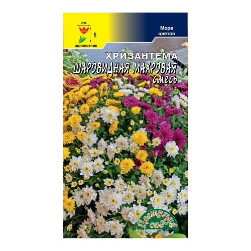 фото Семена Хризантема Шаровидная махровая 0,04г Одн 45см (Цветущий Сад), купить онлайн за 49 рубл.