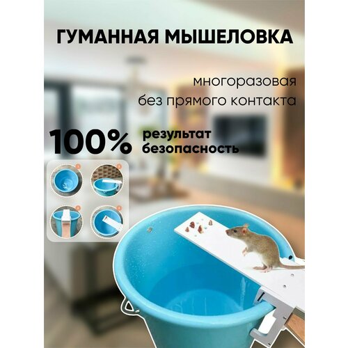 Гуманная мышеловка для мышей фото, описание