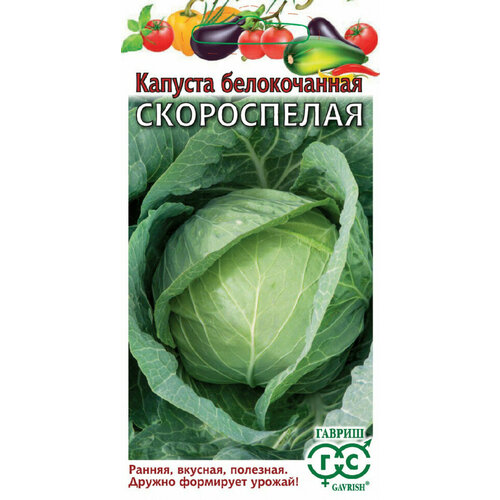 Семена Капуста белокочанная Скороспелая, 0,5г, Гавриш, Овощная коллекция, 10 пакетиков фото, описание