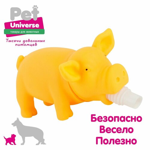 Игрушка для собак Pet Universe хрюкающий поросёнок со звуком, 15х6х7 см, винил, жёлтый PU3027Y фото, описание