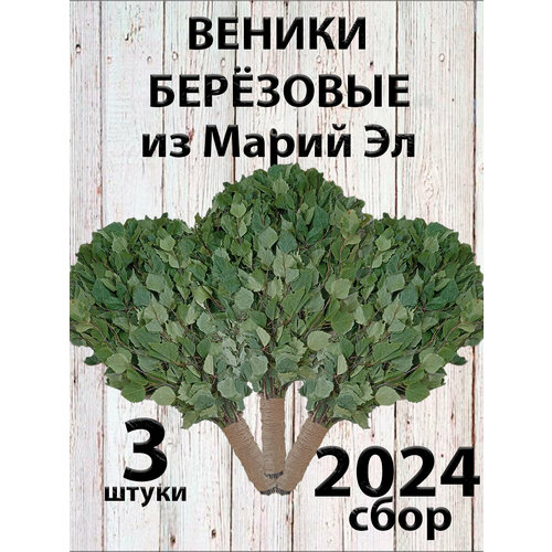 Веники березовые для бани из Марий Эл с ручкой из джута 3 штуки в коробке фото, описание