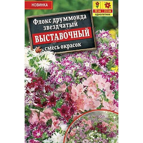 Семена растения флокс выставочный, смесь окрасок фото, описание