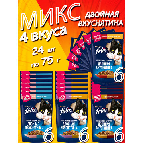 Микс 4 вкуса Феликс Двойная вкуснятина для взрослых - 24 штуки фото, описание