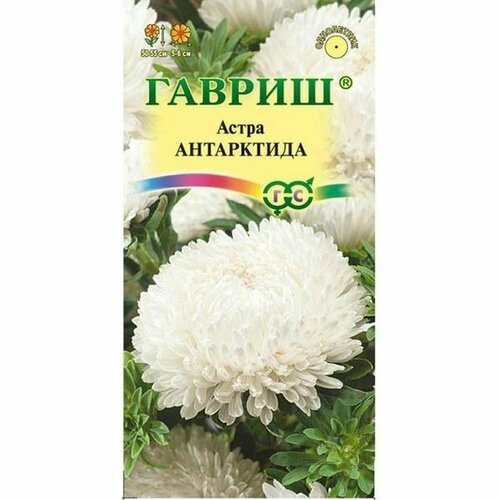 Семена Астра Антарктида, белая, пионовидная (однолетние) (гавриш) 0,3г фото, описание