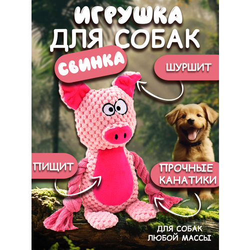 фото Игрушка для собак 