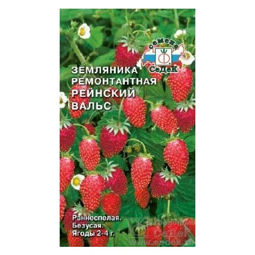 фото Семена Земляника Рейнский вальс (мелкоплодная ремонтант.), купить онлайн за 213 рубл.