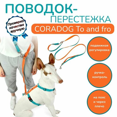 Поводок-перестежка с ручкой контролем и подвижным кольцом, hands free - свободные руки, CORADOG To and fro, длина 2,5 м, для маленьких пород собак, цвет бирюзовый, оранжевый фото, описание