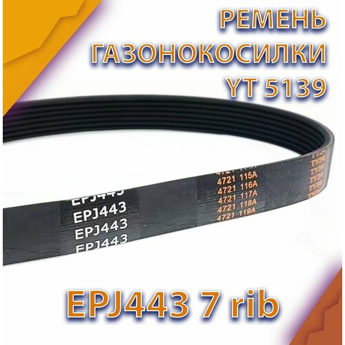 фото Ремень для газонокосилки Technobelt EPJ443, купить онлайн за 781 рубл.