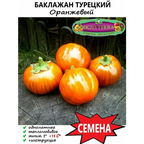 фото Семена Баклажан Турецкий, Оранжевый 3 шт., купить онлайн за 410 рубл.