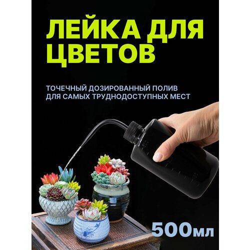 Лейка для цветов и комнатных растений, лейка для суккулентов и кактусов с длинным носиком, Черная 500мл фото, описание