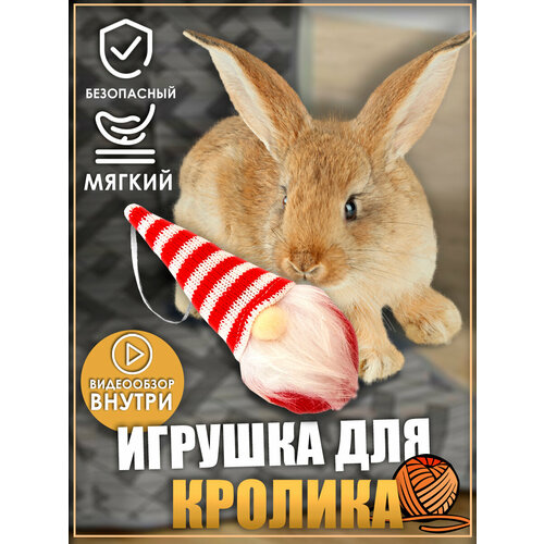 Игрушка для кролика, гном, игрушки для грызунов, игрушки для животных фото, описание