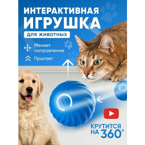 Игрушка для кошек и собак мячик интерактивный синий фото, описание