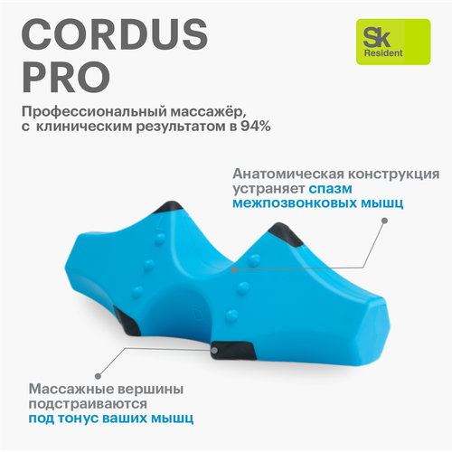 Cordus Pro (Easy) - массажер для спины шеи и поясницы. фото, описание