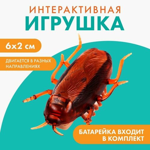 Интерактивная игрушка для кошек «Таракан» фото, описание