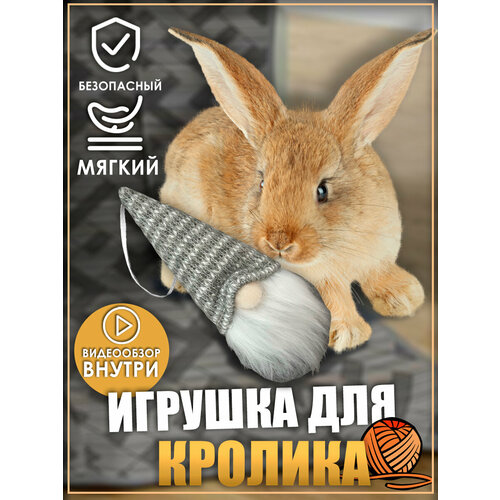 Игрушка для кролика, игрушки для грызунов, игрушки для животных фото, описание