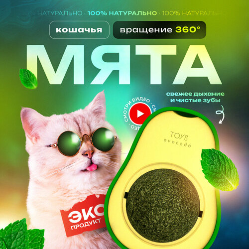 Кошачья мята, Лакомство для кошек, Игрушка для котят, Леденец для котов с витаминами фото, описание