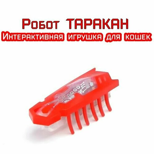 Игрушки для кошек таракан на батарейках подарки для детей фото, описание