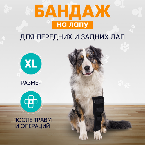 Бандаж ветеринарный на лапу для собак Mr Dog черный XL фото, описание