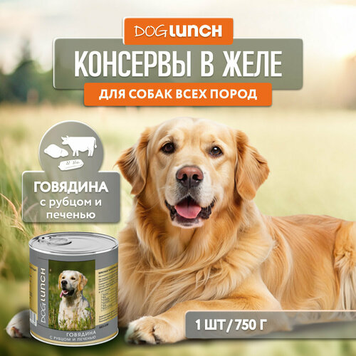 Влажный корм для собак Dog Lunch говядина, рубец, печень 1 уп. х 1 шт. х 750 г фото, описание