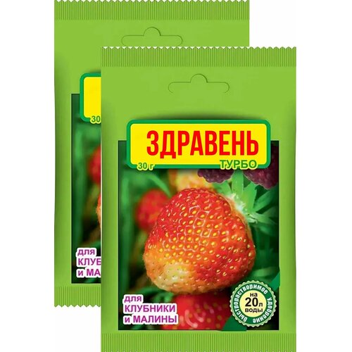 60г Удобрение Здравень турбо для клубники и малины 30 г х2шт Ваше Хозяйство ВХ фото, описание