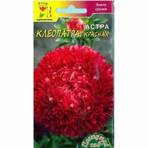 Семена Астра Клеопатра красная, однолетник, (Цветущий Сад) 0,2г фото, описание