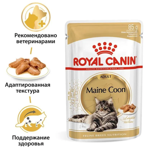 Royal Canin Maine Coon Adult Sauce // Корма для кошек / Влажный (85 гр) фото, описание