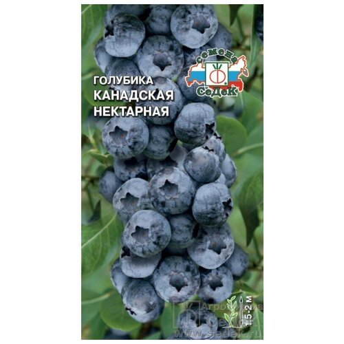 фото Семена Голубика канадская Нектарная 0,05гр, купить онлайн за 185 рубл.