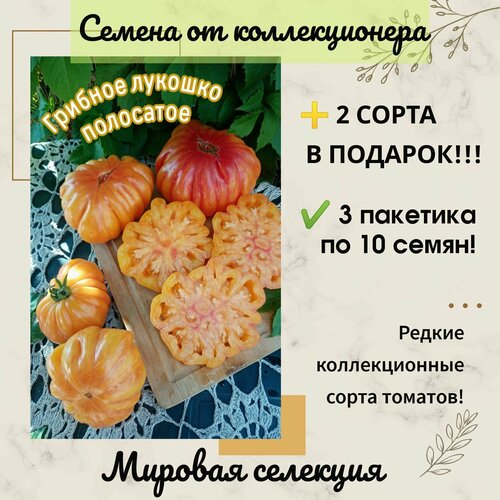 Томат Грибное лукошко полосатое, коллекционный сорт, индетерминантный фото, описание