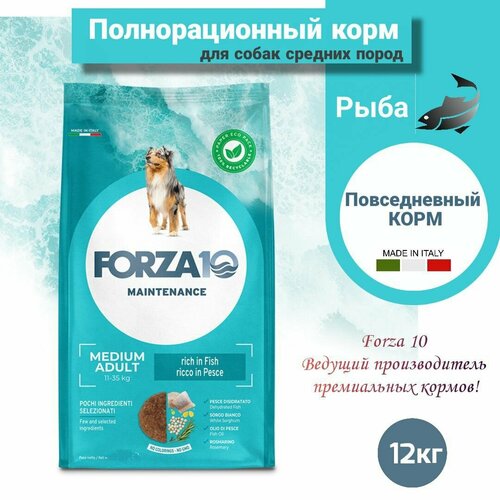 Сухой корм для собак Forza10 MEDIUM ADULT MAINTENANCE средних пород /рыба /12кг фото, описание