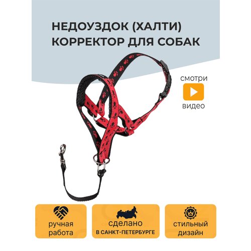 Недоуздок (Халти) корректор для дрессировки собак CHOKERZ фото, описание