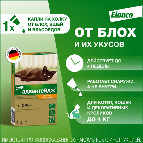 Адвантейдж® (Elanco) капли на холку от блох для котят и кошек до 4 кг - 1 пипетка фото, описание