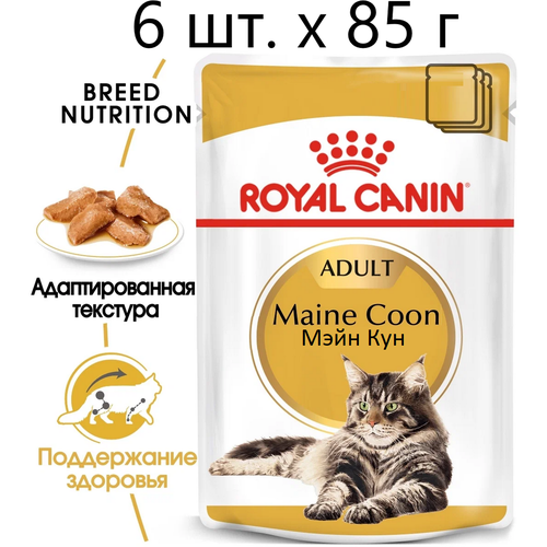 Влажный корм для кошек Royal Canin Maine Coon Adult, для взрослых кошек породы мейн-кун, 6 шт. х 85 г (кусочки в соусе) фото, описание