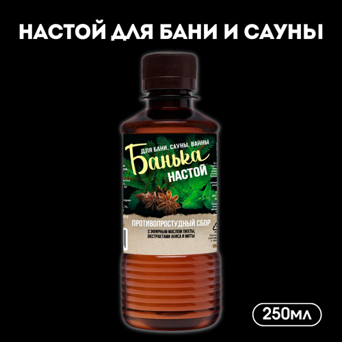 Лаборатория Катрин Настой для бани Противопростудный, 250 мл 1 шт. 0.25 л 14.5 см 5.2 см 14.5 см 0.25 кг пихта бесцветный фото, описание