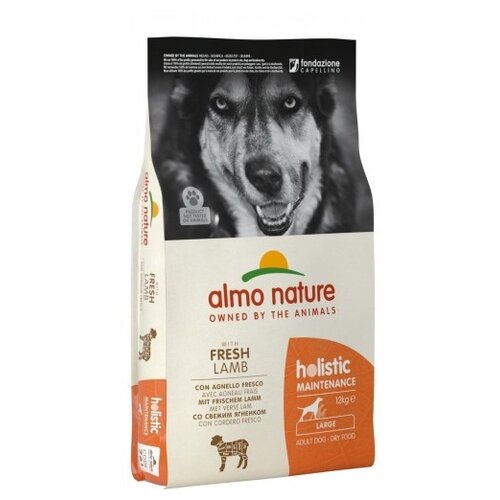 Сухой корм для собак Almo Nature Holistic, ягненок 1 уп. х 1 шт. х 12000 г фото, описание