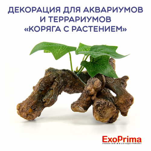 Декорация для аквариумов и террариумов EXOPRIMA 