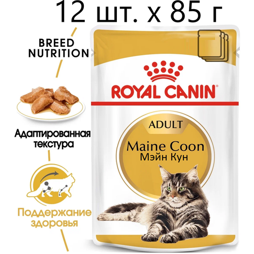 Влажный корм для кошек Royal Canin Maine Coon Adult, для взрослых кошек породы мейн-кун, 12 шт. х 85 г (кусочки в соусе) фото, описание