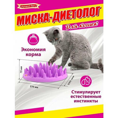 Миска-диетолог для кошек Лучший друг 7000 фото, описание