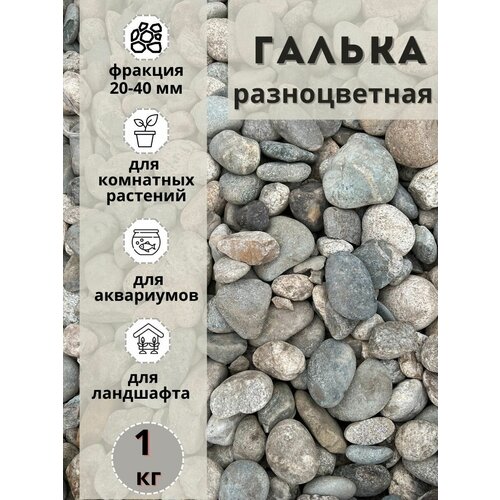 Галька разноцветная(пестрая) 20-40мм (1кг) Грунт для аквариума/террариума фото, описание