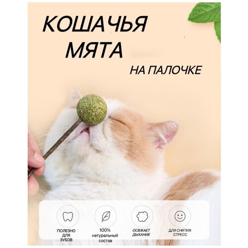 Игрушка для кошек из натуральной кошачьей мяты шарик/Мятный мячик/Шар из кошачьей мяты фото, описание