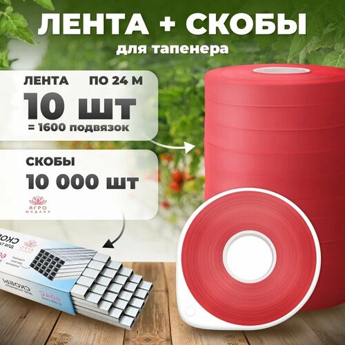 фото Лента для подвязки 24м. 150 мкр. 10 штук + скобы 10.000шт, купить онлайн за 481 рубл.