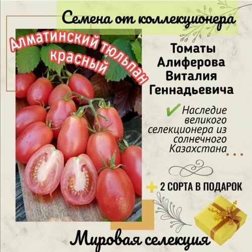 Томаты Виталия Алиферова, сорт 