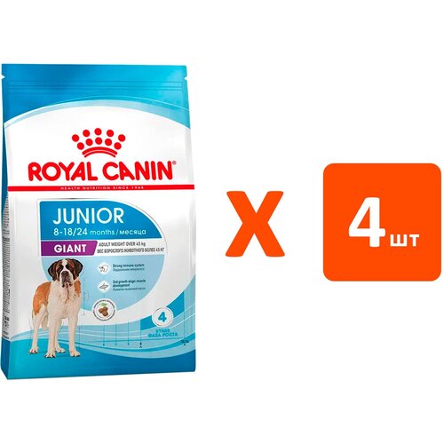 ROYAL CANIN GIANT JUNIOR для щенков крупных пород (3,5 кг х 4 шт) фото, описание